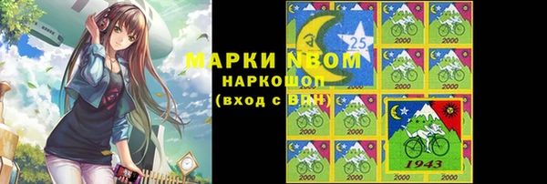 ПСИЛОЦИБИНОВЫЕ ГРИБЫ Богданович